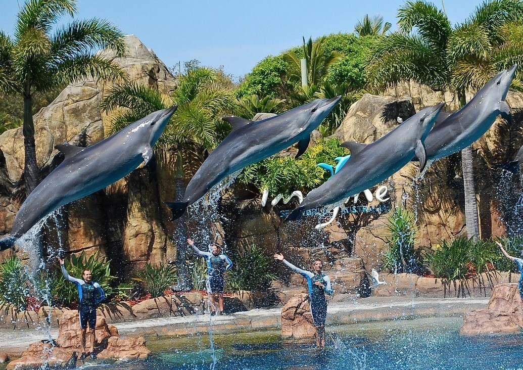 sea world Голд Кост, Австралия