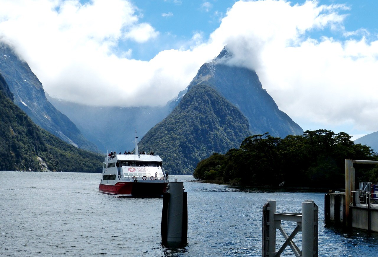 Dark Markets New Zealand